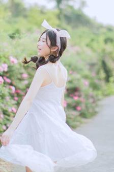 侠胆雄狮
